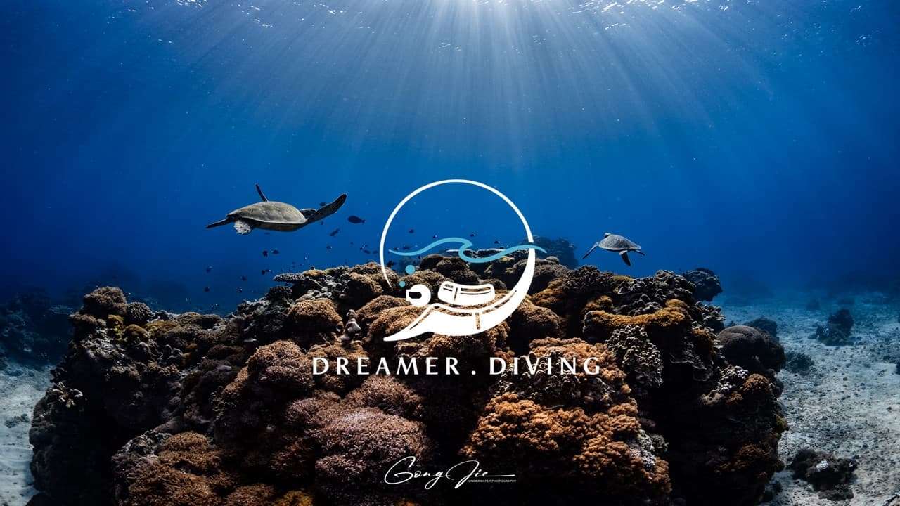 究竟看到了什麼？每個潛水員都爆嗨！