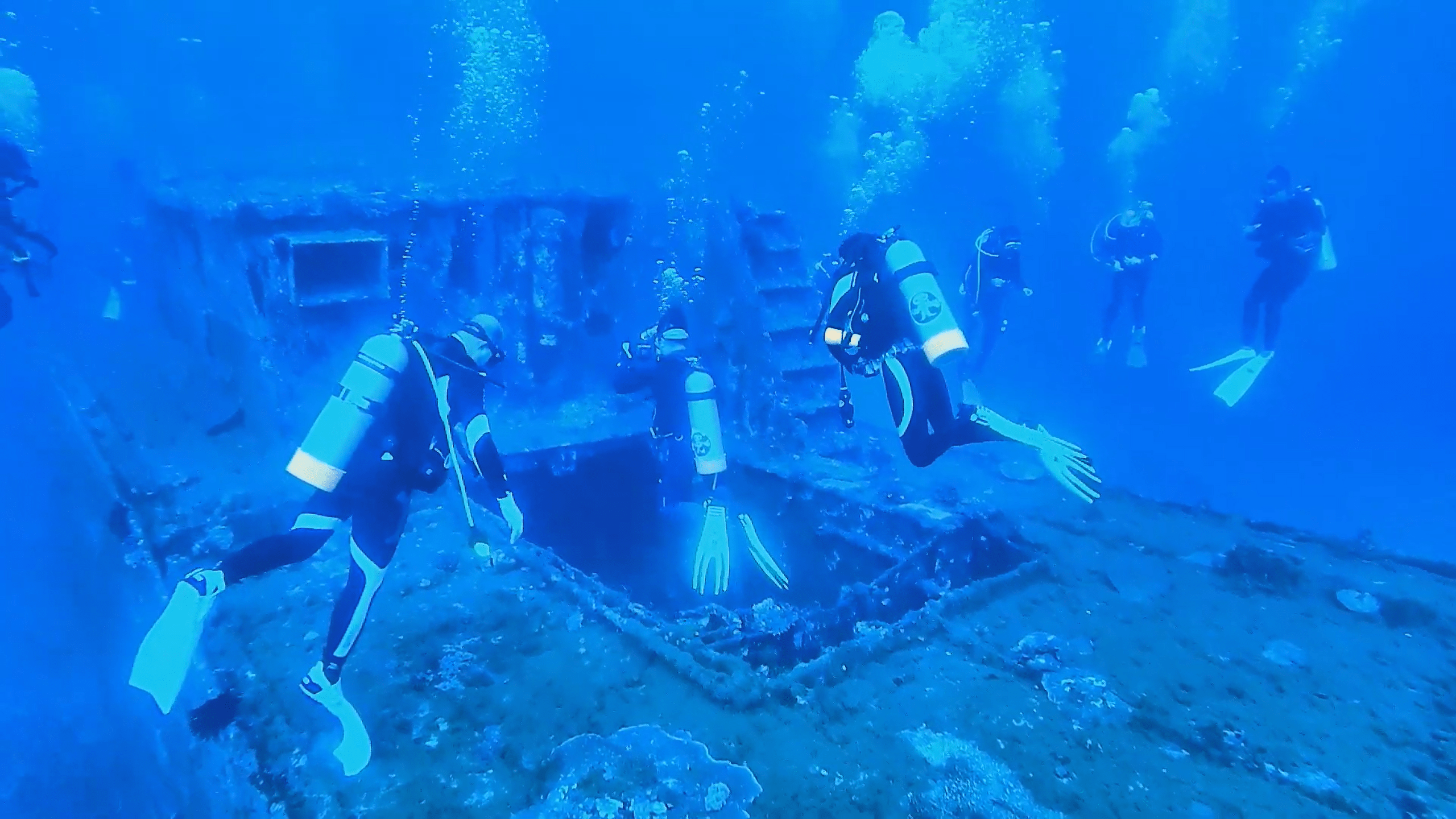 【夢想家日常】想跟海龜一起悠游大海就快加入夢想家潛水吧!!
