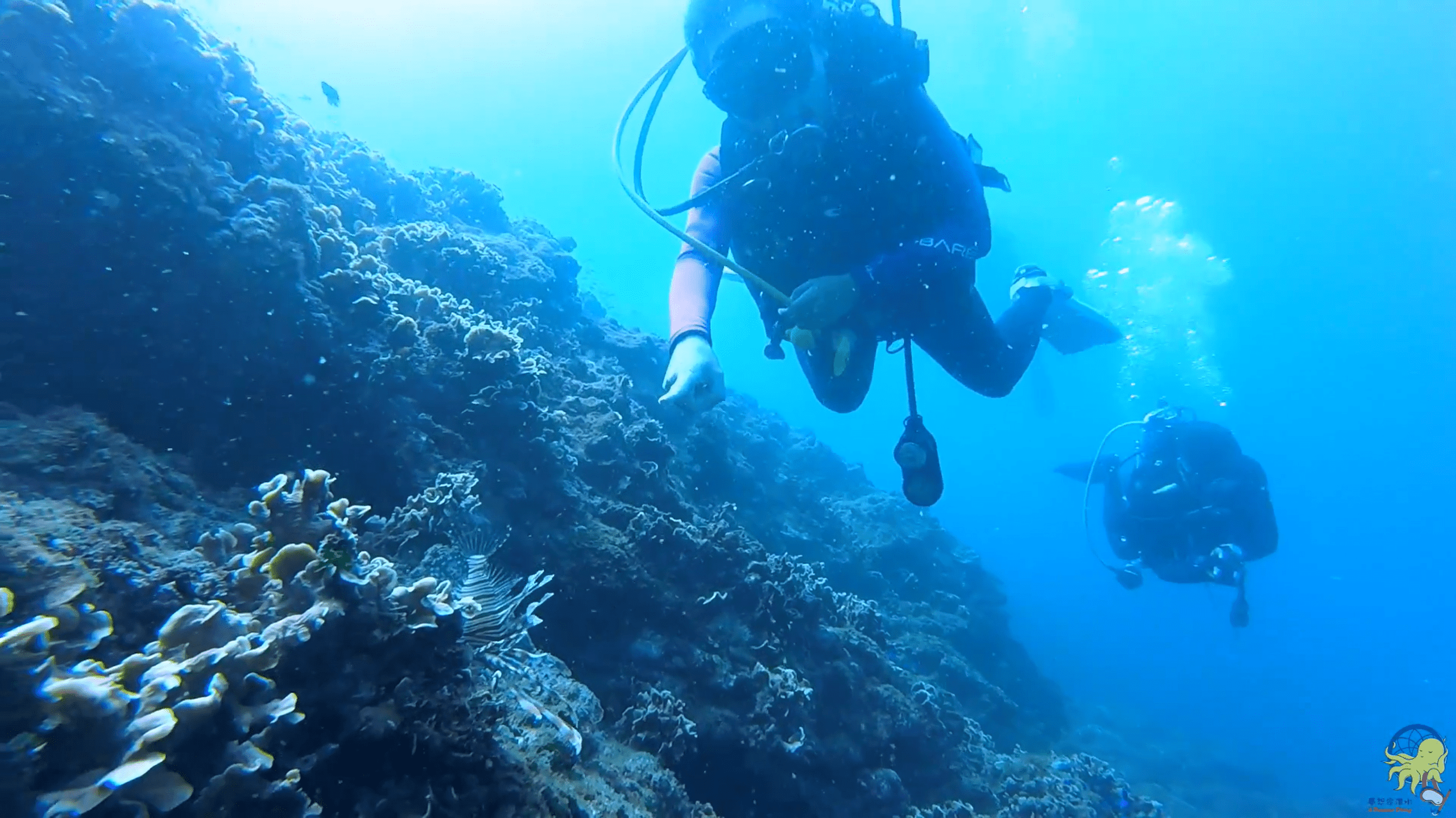 【夢想家日常】Claire ❤️❤️❤️ OW結訓 