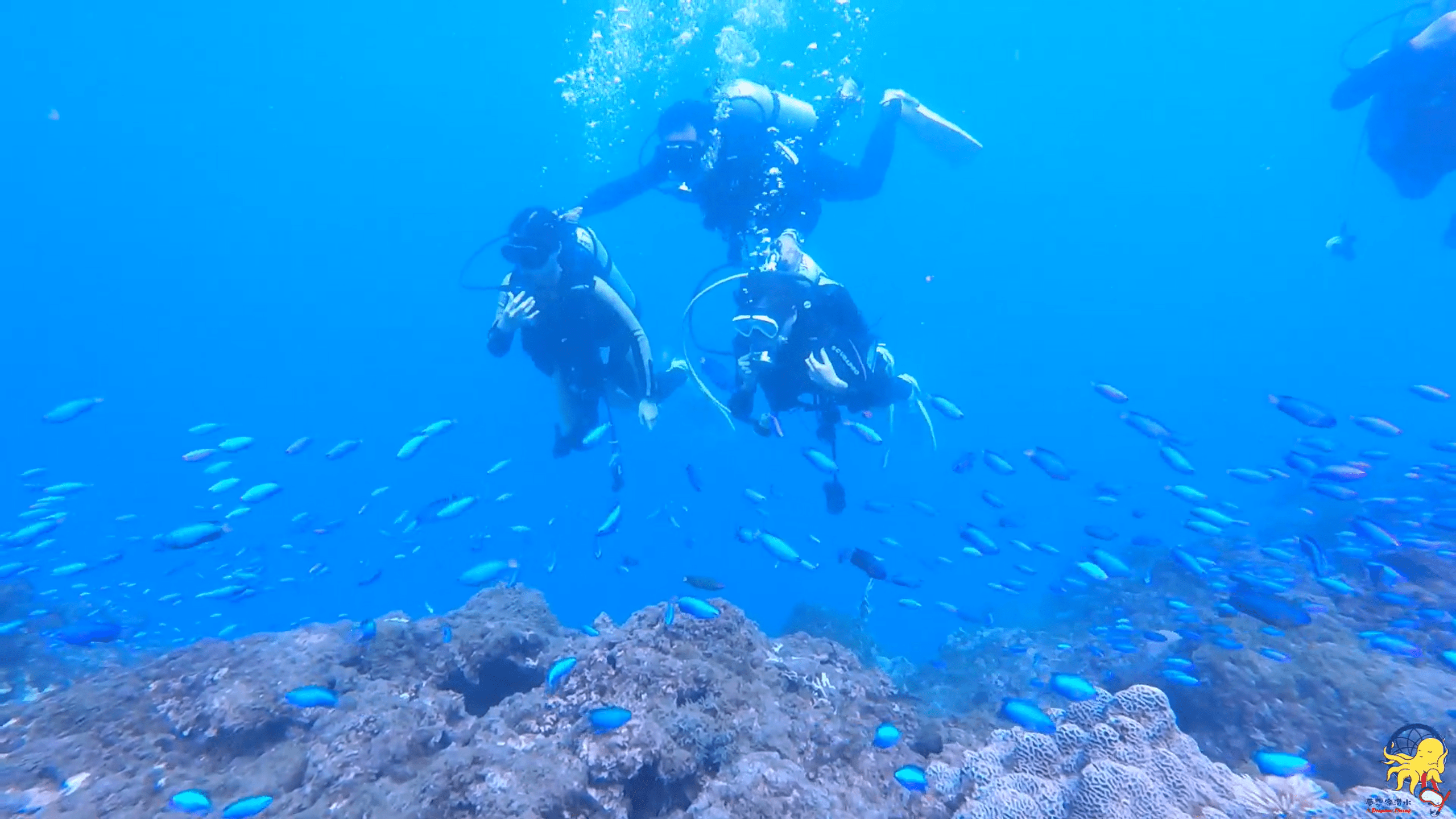 【夢想家日常】超歡樂的一家人～體驗潛水 ❤️