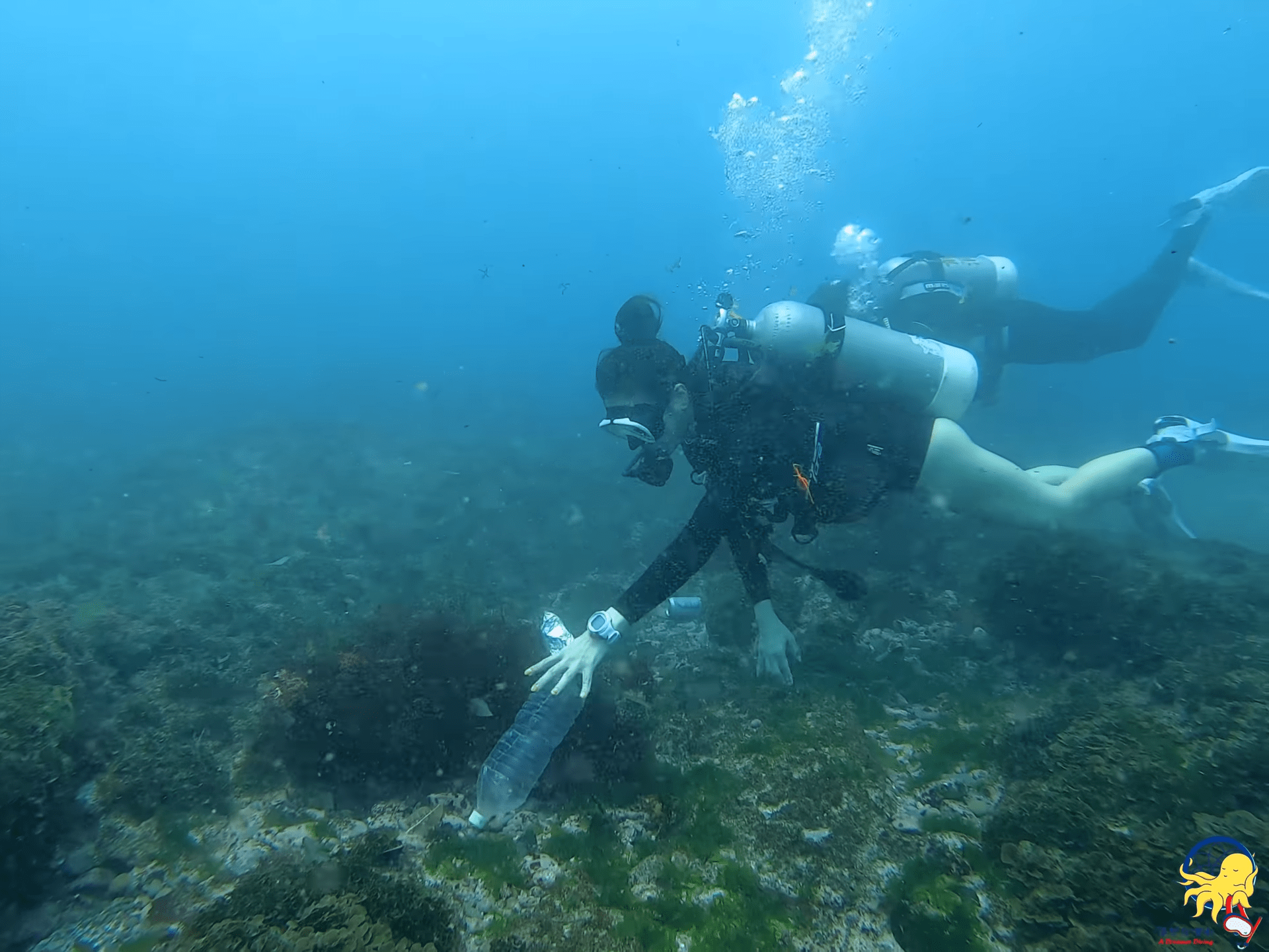 海好有你，一起愛地球！活動圓滿完成