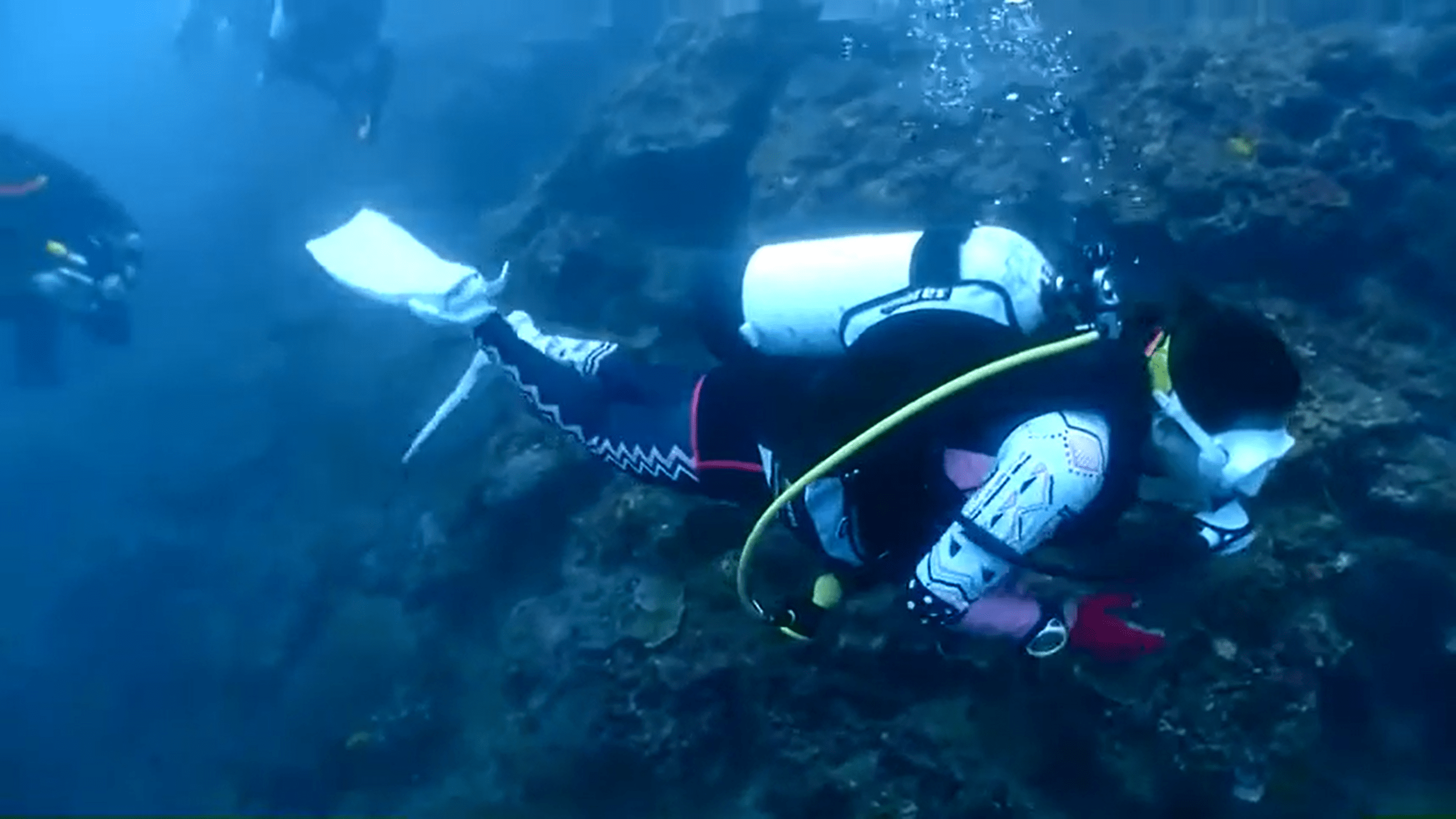 【夢想家日常】潛季到了！當然就要把握時間往海裡跑囉