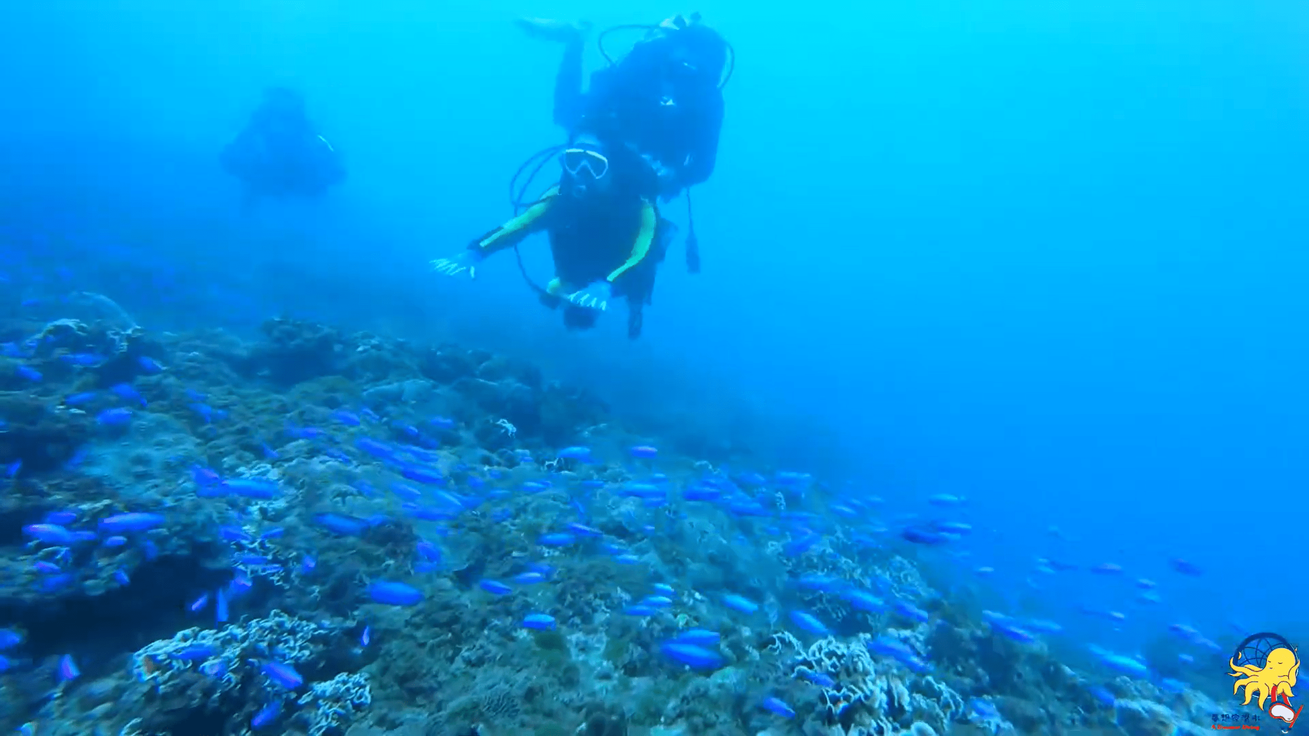 【夢想家日常】陰魂不散的氣泡 ～一對一體驗潛水